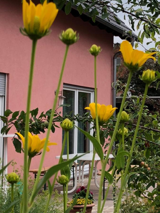 Ludolf Haus * Munster (North Rhine-Westphalia)